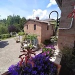 Vignano40