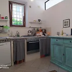 Vignano40