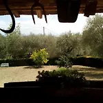Vignano40 *