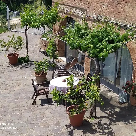 Vignano40 锡耶纳