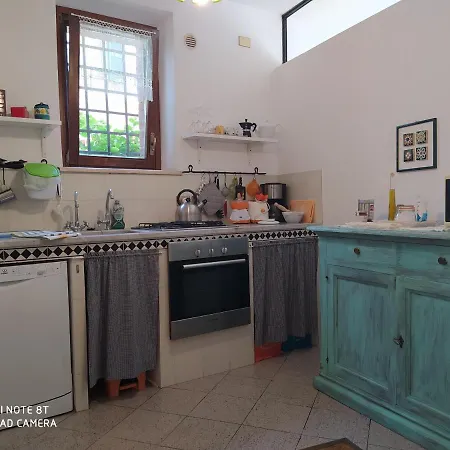 Vignano40