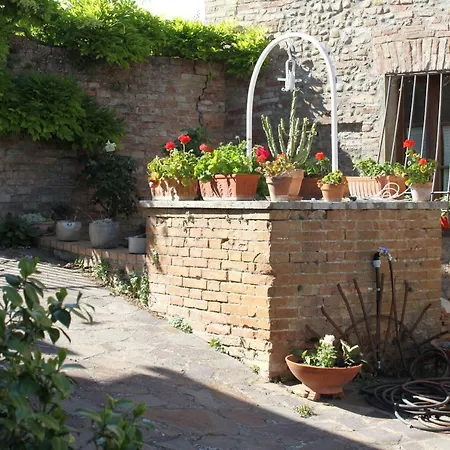 Vignano40 * Siena