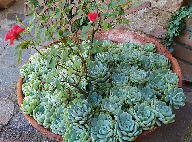 Vignano40 度假居 锡耶纳