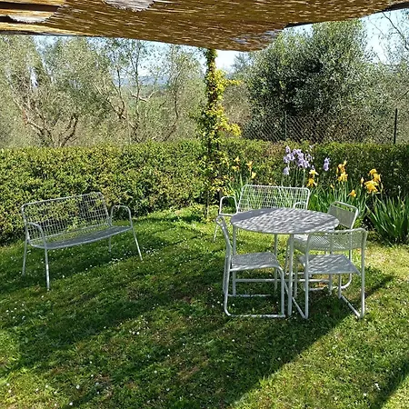 Holiday home Vignano40 Siena