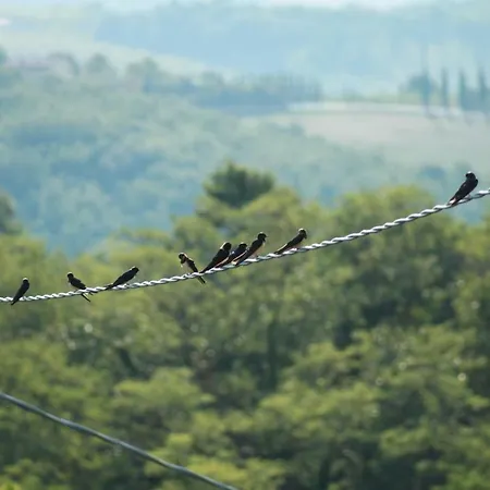Vignano40 بيت للعطل سيينا