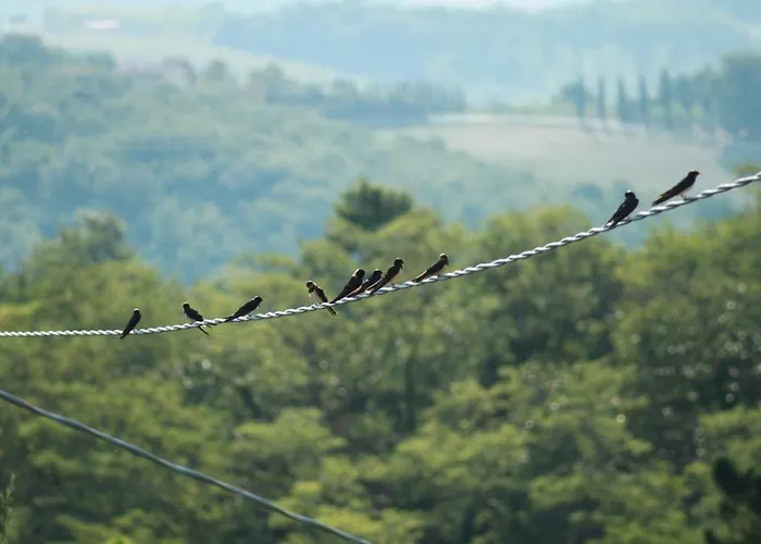Vignano40 Hébergement de vacances Sienne